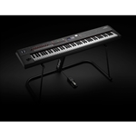 RD2000 Roland Professional 88 Weighted Key Stage Piano