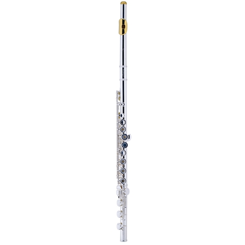 Armstrong オーボエ Amazon.com: Armstrong 800BOF Intermediate Flute with Gold